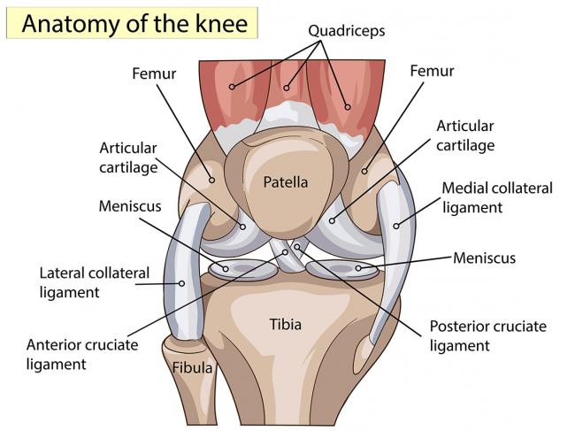 What Does a Knee Ligament Injury Feel Like?